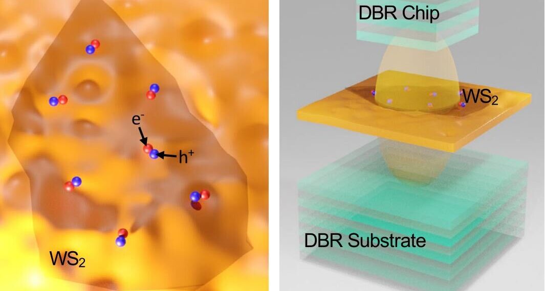Single atom thick semiconductor