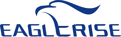 EagleRise Logo