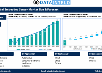 DataIntelo report