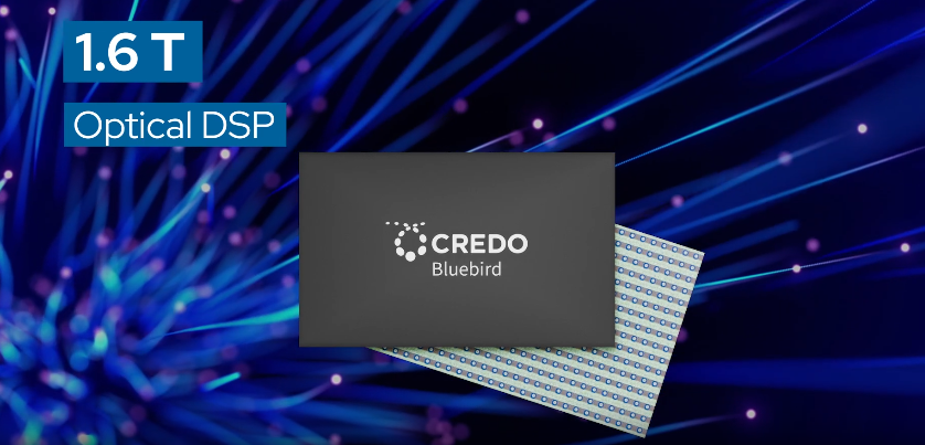 Credo Bluebird