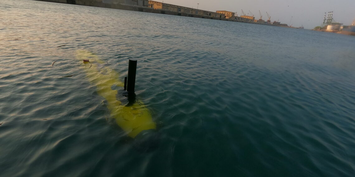 Planys AUV_1