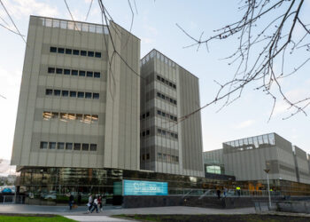 Quantum_Motion_Offices_Spain